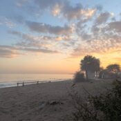 mersinde en hizli deger kazanan gayrimenkul bolgeleri