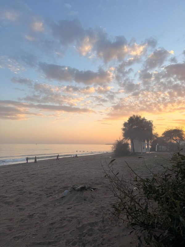 mersinde en hizli deger kazanan gayrimenkul bolgeleri