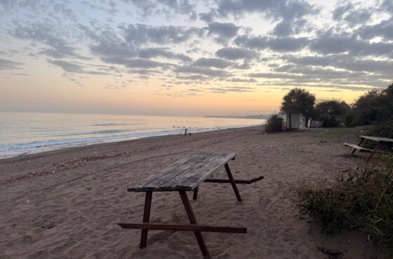 Инвестиции в Мерсин, Турция – Полное руководство 2026 2 Mersin Ev Fiyatları 2026