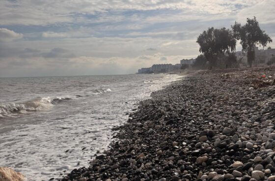 Mersin’de Satılık Ev Arayanlar İçin Rehber (2026 Güncel)