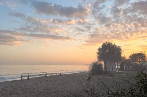 Mersin’de En Hızlı Değer Kazanan Gayrimenkul Bölgeleri (2026)