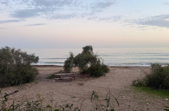 Mersin’de Yazlık Ev Almak Mantıklı mı? (2026 Rehberi)